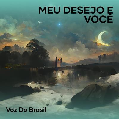 ela so sabe falar você não sabe transar's cover