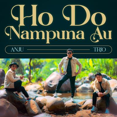 Ho Do Nampuna Au's cover