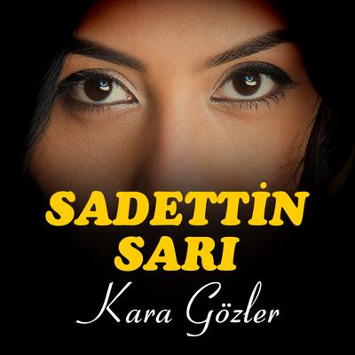 Kara Gözler's cover