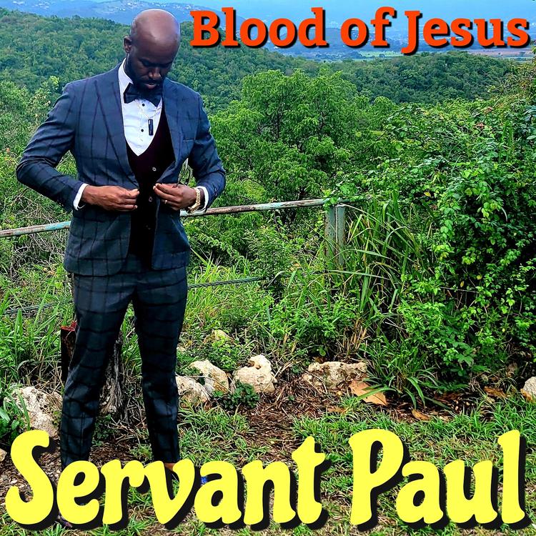 Servant Paul's avatar image