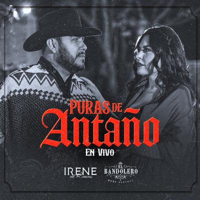 Puras de Antaño (En Vivo)'s cover