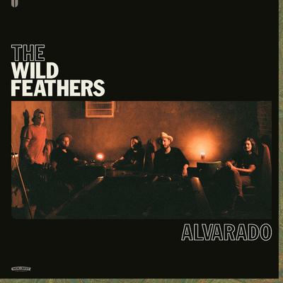 Ain't Lookin' By The Wild Feathers's cover