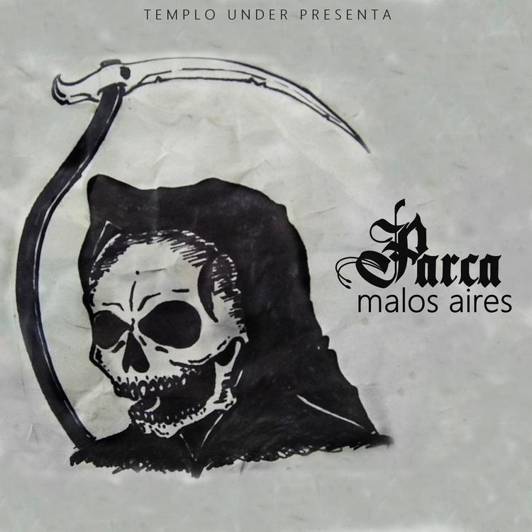 Parca XIV's avatar image