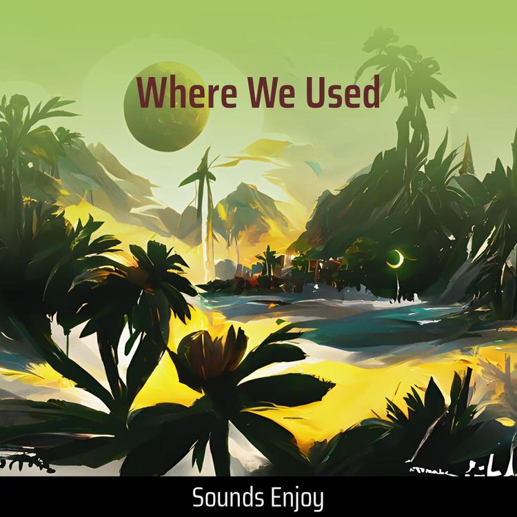 sounds enjoy's avatar image