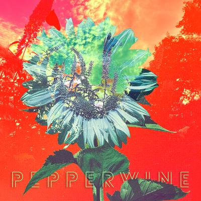 Pepperwine's cover