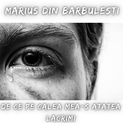 Marius din Barbulesti's cover