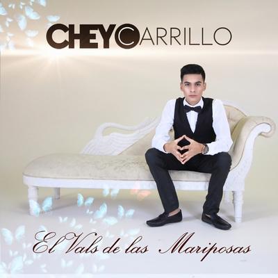 El Vals De Las Mariposas's cover