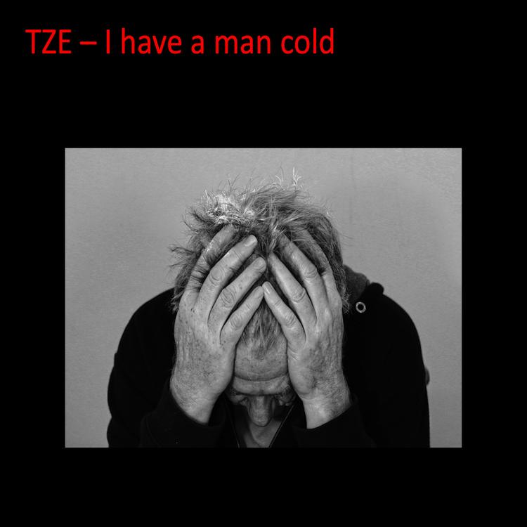 TZE's avatar image