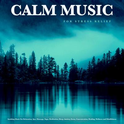 Spa Music for Stress Relief By Calm Music, Peaceful Music, Relaxation's cover