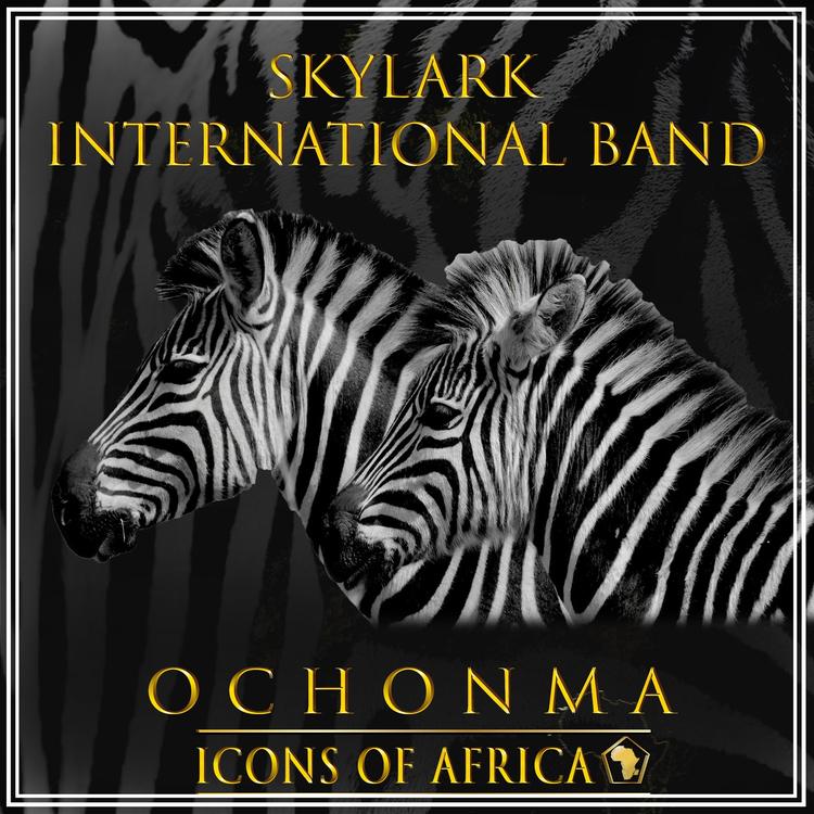 Skylark International Band's avatar image