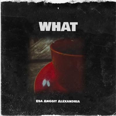 What (1)'s cover
