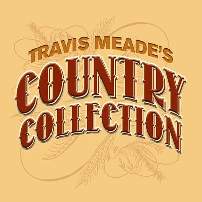 Southern Girl By Travis Meade's cover