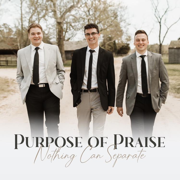 Purpose of Praise's avatar image