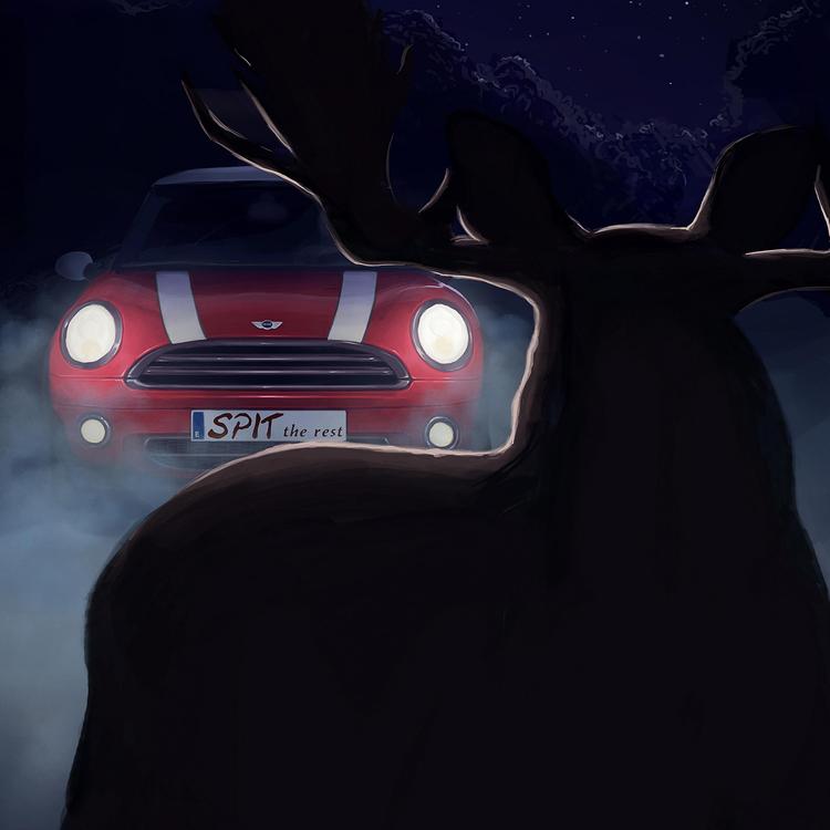 Moose In The Headlights's avatar image