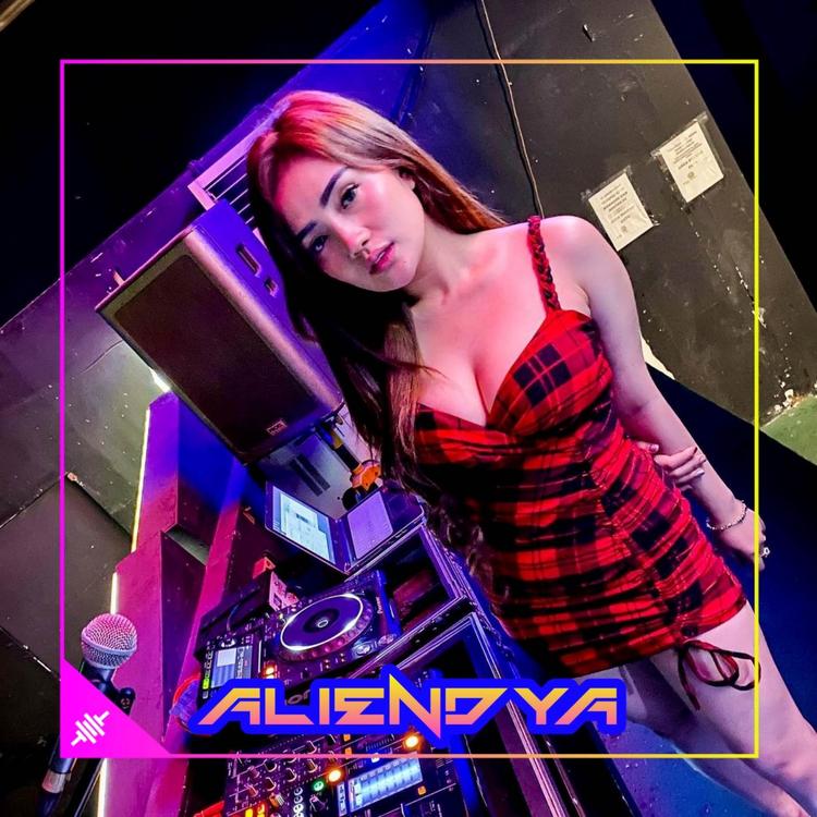 DJ Aliendya's avatar image