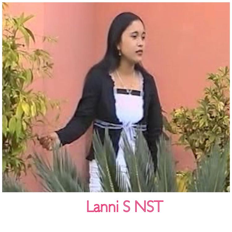 LANNI S NASUTION's avatar image