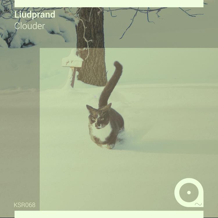 Liudprand's avatar image