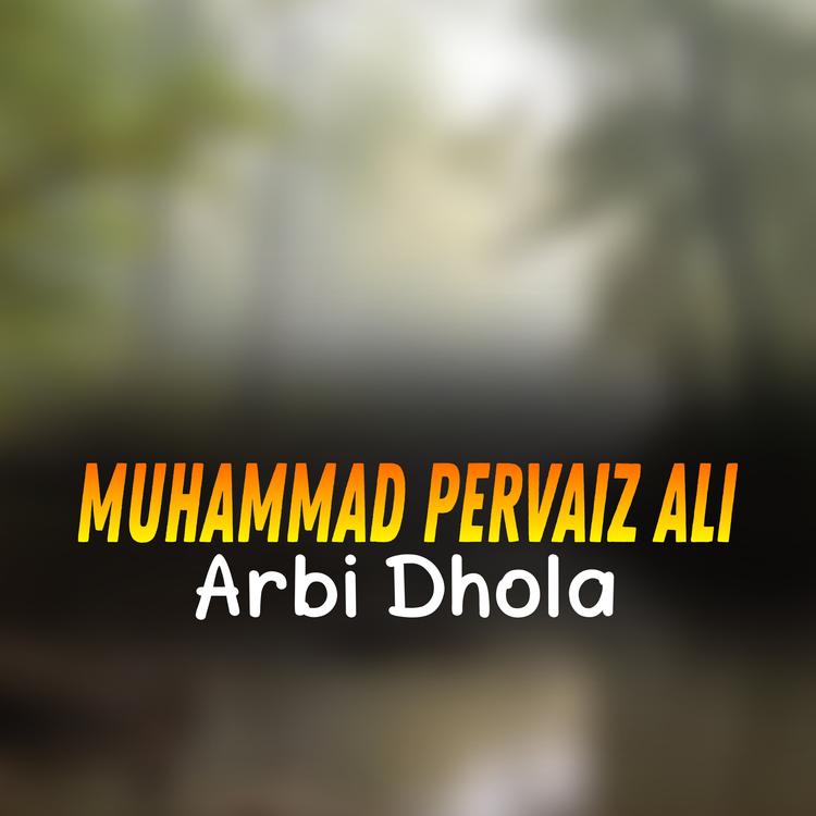 Muhammad Pervaiz Ali's avatar image