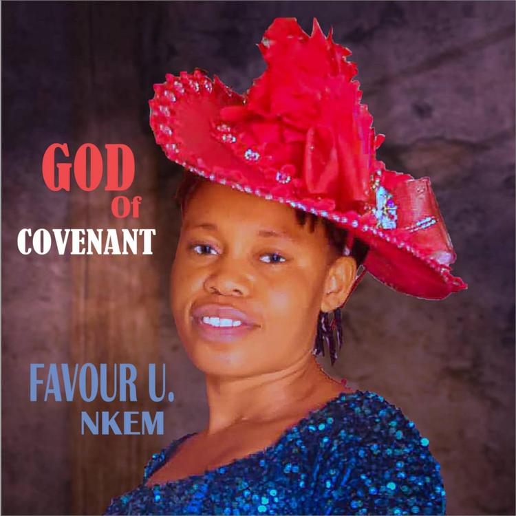 Favour U Nkem's avatar image