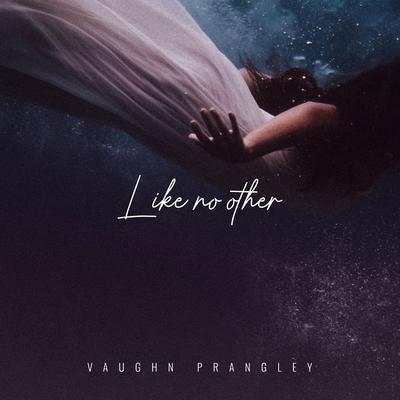 Like No Other By Vaughn Prangley's cover