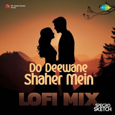 Do Deewane Shaher Mein - Lofi Mix's cover