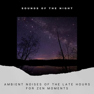 Meditation Thunder By Sounds of the Night, Mother Nature Sound FX, Nature Noise's cover