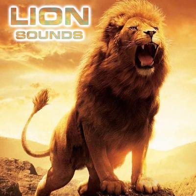 Lion Sounds Ambience's cover