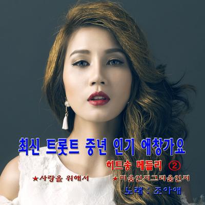 최신 트롯트 중년 인기애창가요 히트송 메들리 2(最新樂天中年人氣愛歌唱熱門歌曲2)'s cover