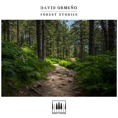 Forest Stories By David Ormeño's cover