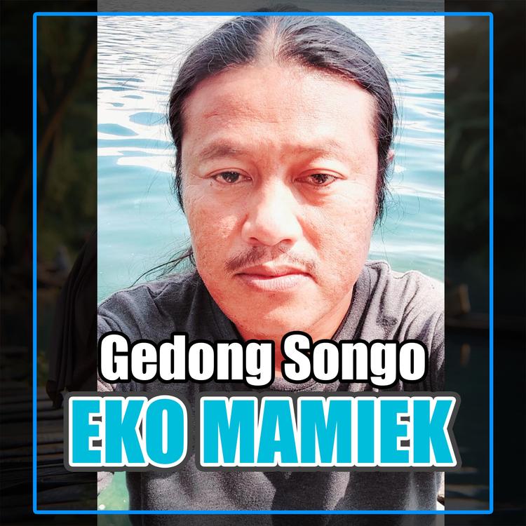 Eko Mamiek's avatar image