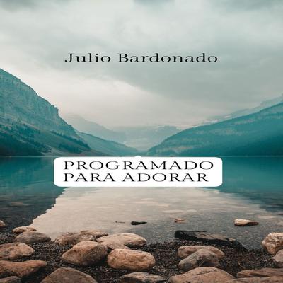 Julio Bardonado's cover