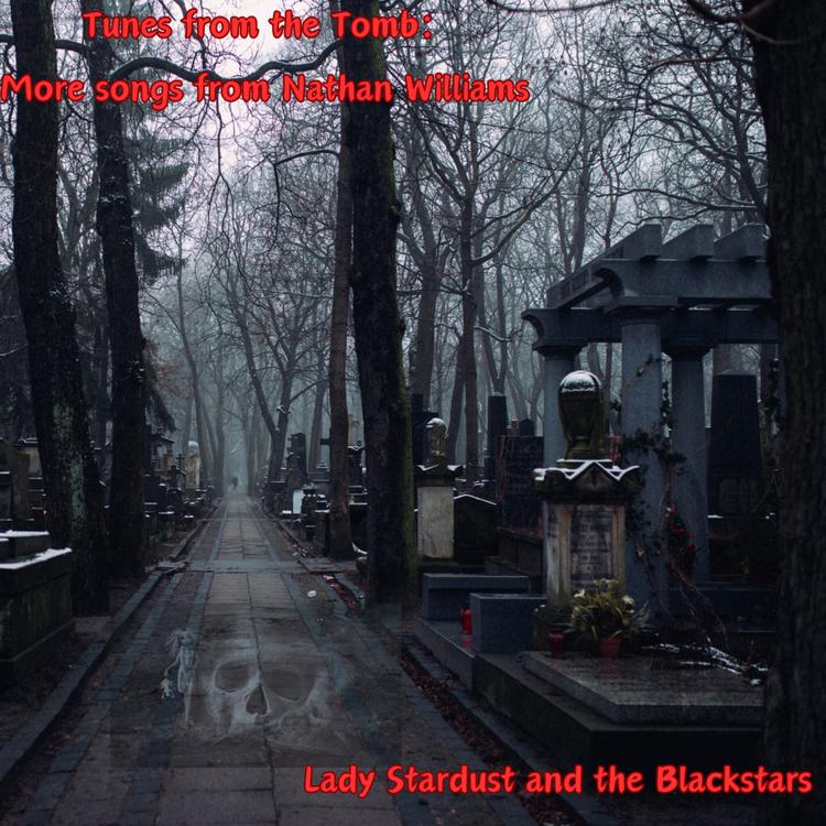 Lady Stardust and the Blackstars's avatar image