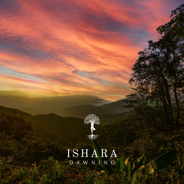 ISHARA's avatar image