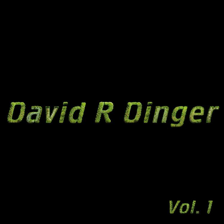 David R Dinger's avatar image