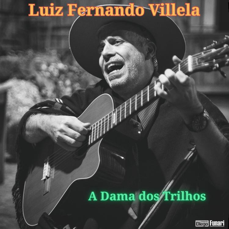 LUIZ FERNANDO VILLELA's avatar image