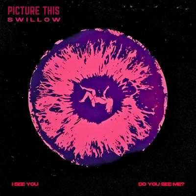 Picture This By Swillow's cover