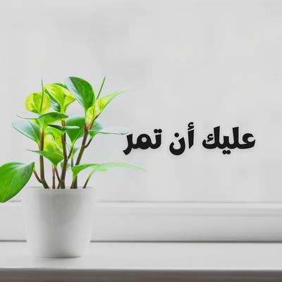 عليك أن تمر's cover