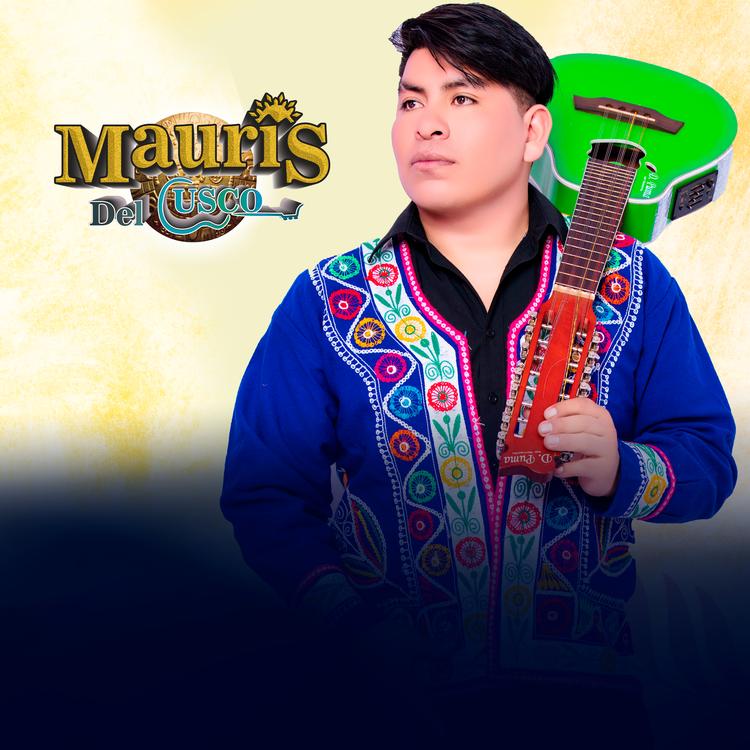 Mauris Del Cusco's avatar image