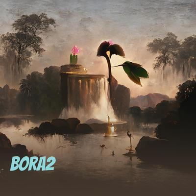 Bora2's cover