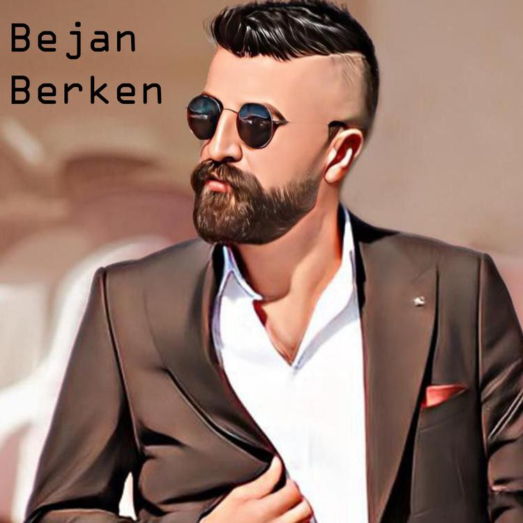 Bejan Berken's avatar image