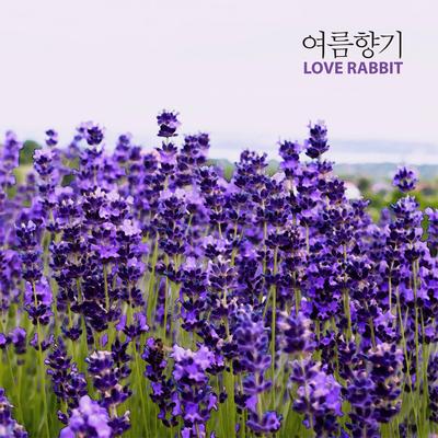 Love Rabbit's cover