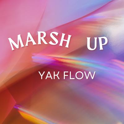 Marshup's cover