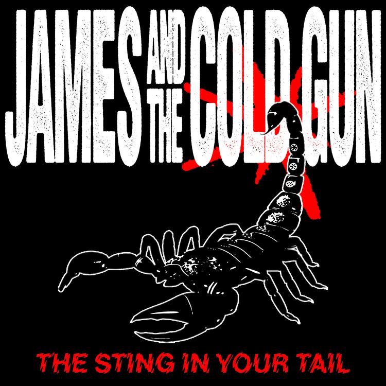 James and the Cold Gun's avatar image