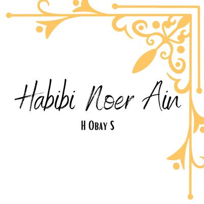 Habibi Noer Ain's cover