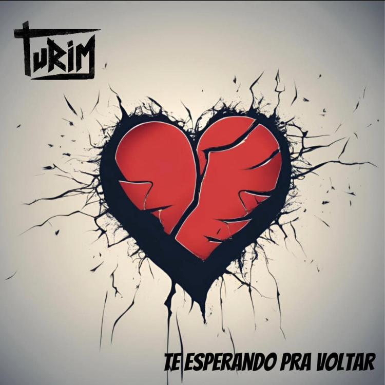 Turim's avatar image