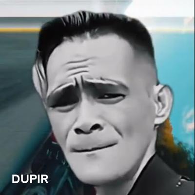 DUPIR's cover