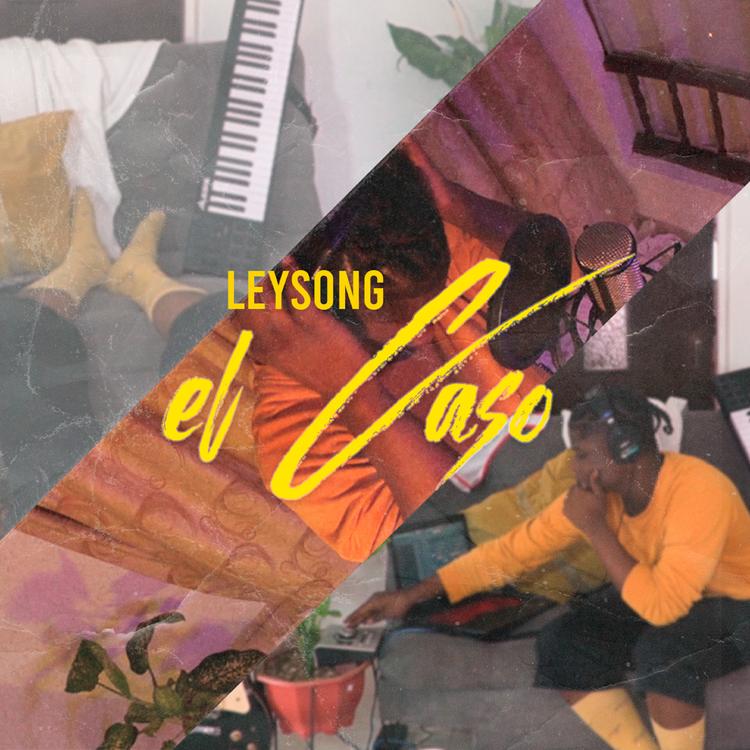 Leysong's avatar image