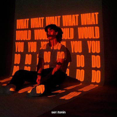 What Would You Do By Julian Bates's cover