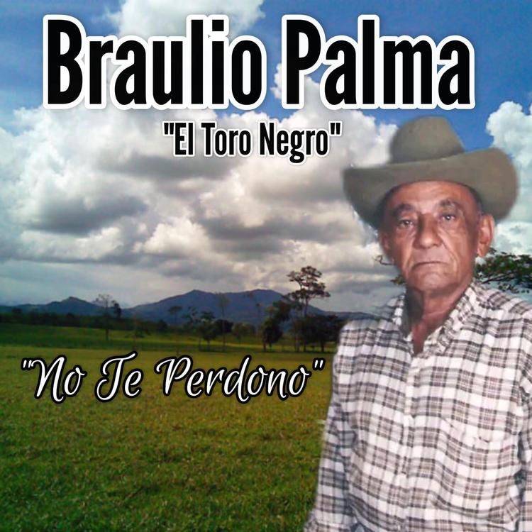 Braulio Palma's avatar image