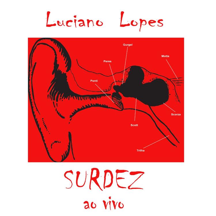 LUCIANO LOPES's avatar image